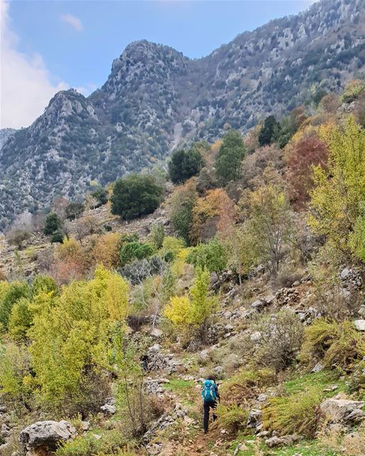 Never stop exploring 🍃 mountaineering  choosemountains  hikingculture ... (Jabal Moûssi)