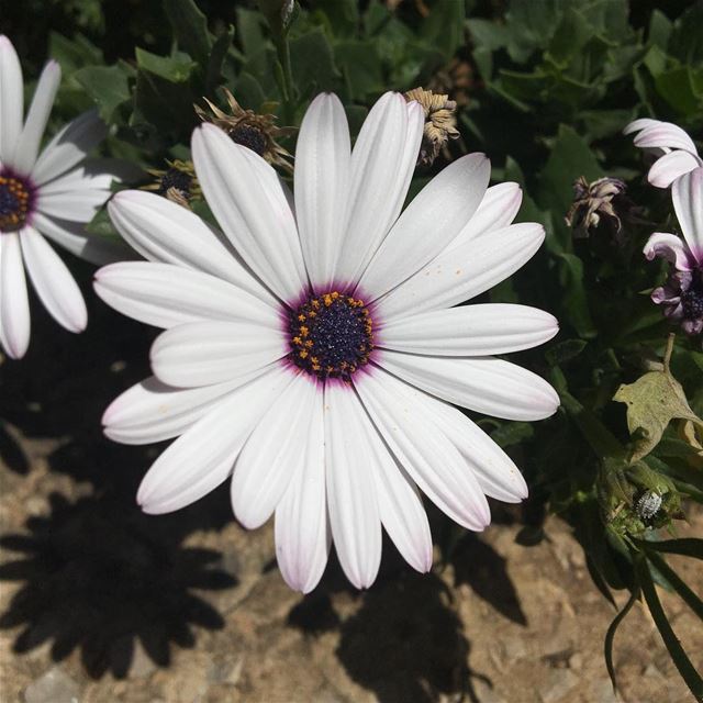 New day 🙏🏻Good Morning -- summer beirut lebanon weekend  instagram... (Beirut, Lebanon)