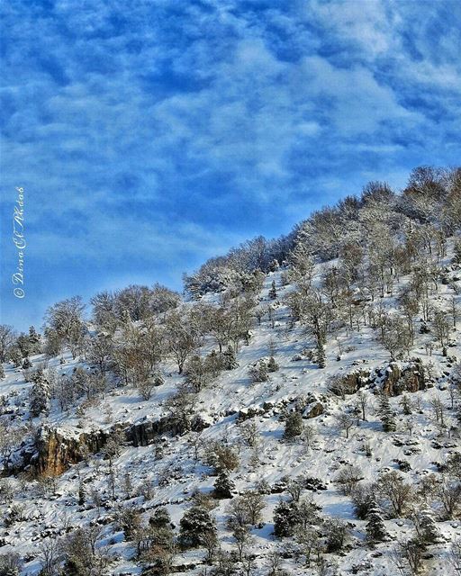 Ni toutes les choses tombent facilement, ni toutes les choses glissent... (Ehden, Lebanon)