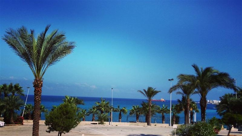 Nice morning...  lebanoninapicture  byblos ...