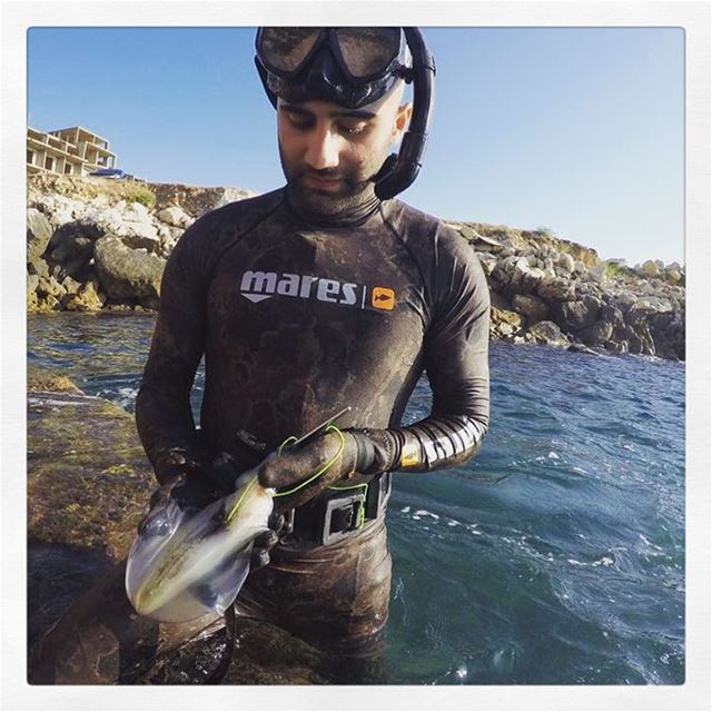 Nice Sunday catch! squid  mares  lebanon  lebanesespearfishing  life ... (Amchit)