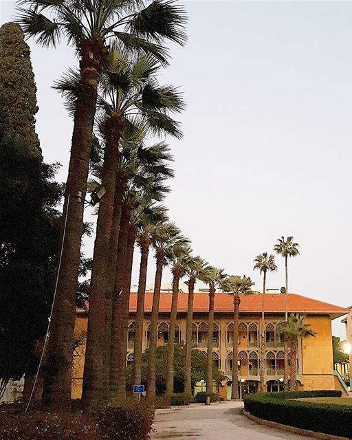 ... Nicely Hall/Green Oval (AUB)------.. Lebanon_HDR  Ливан  Бейрут ... (American University of Beirut (AUB))