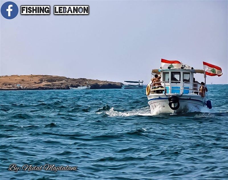 Nidal Majdalani - Lebanon __________________________ sealife  creature ... (Beirut, Lebanon)