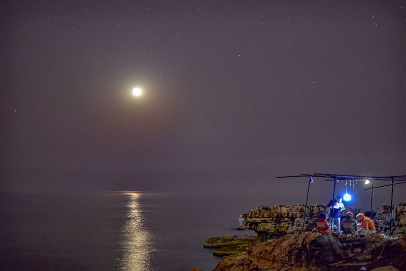 Night camping by the sea ...  lebanon  batroun  kfarabida  ig_lebanon ... (Kfarabida Batroun)