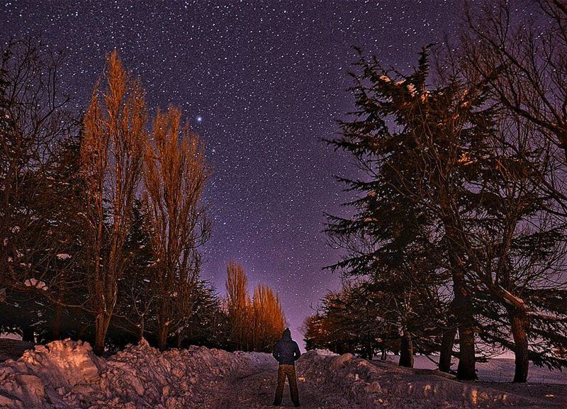 Night hike🌲❄🌲 night nighthike nightphoto nightphotography nightpic... (Bakich)