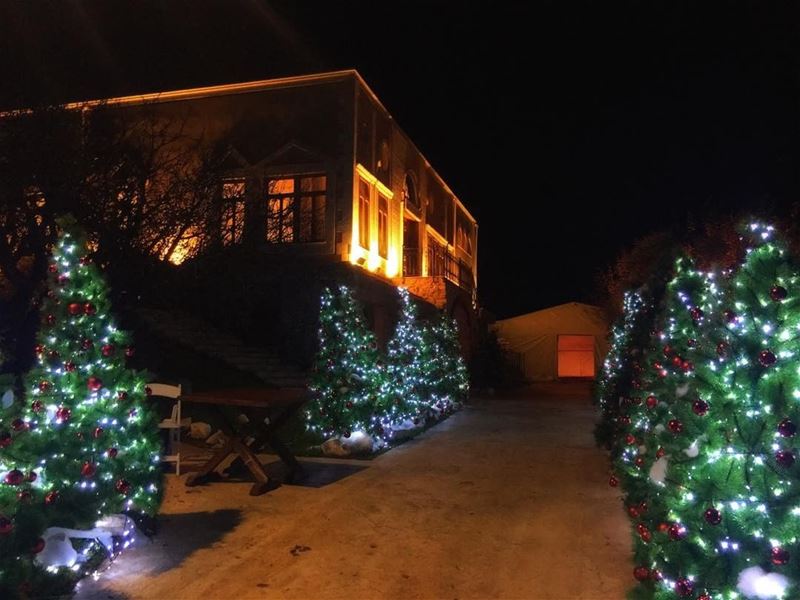 " Night Out..." whatsuplebanon insta_lebanon livelovebeirut... (Arnaoon Village)