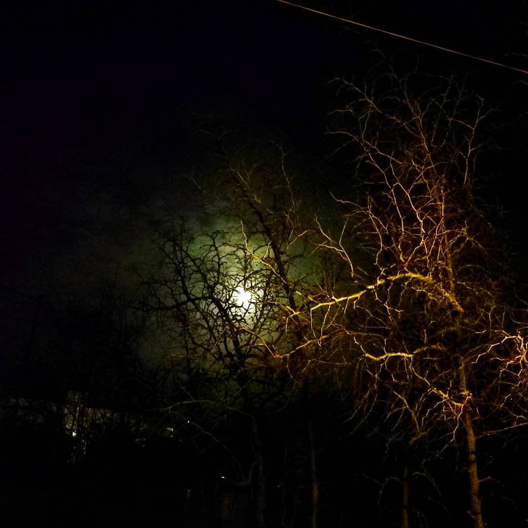  night  sky  full_moon  moon  creepy  scary  clouds  trees  cold ...
