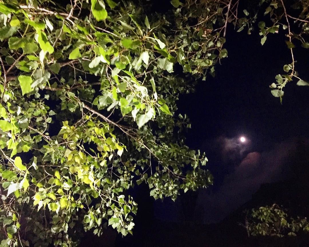 🌜Night view🌛 house  trees  village  night  nature  moon  beautiful ... (Amez)