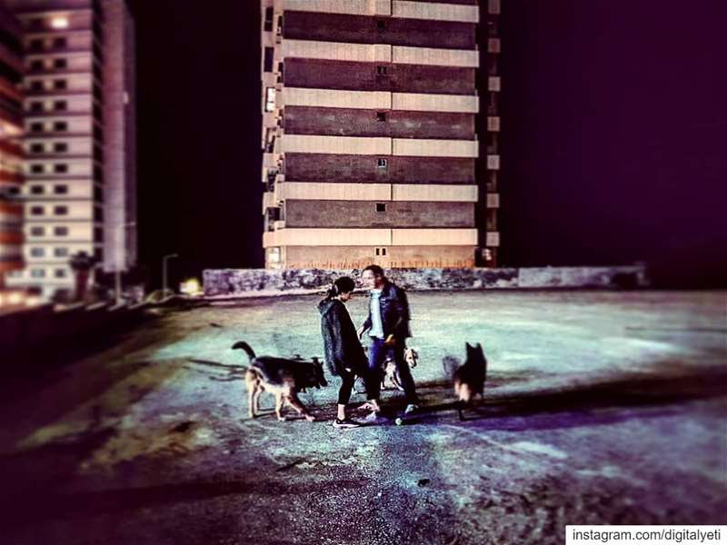 Nightwalkers....... doggydaycare  doggy  nightlife ... (Beirut, Lebanon)