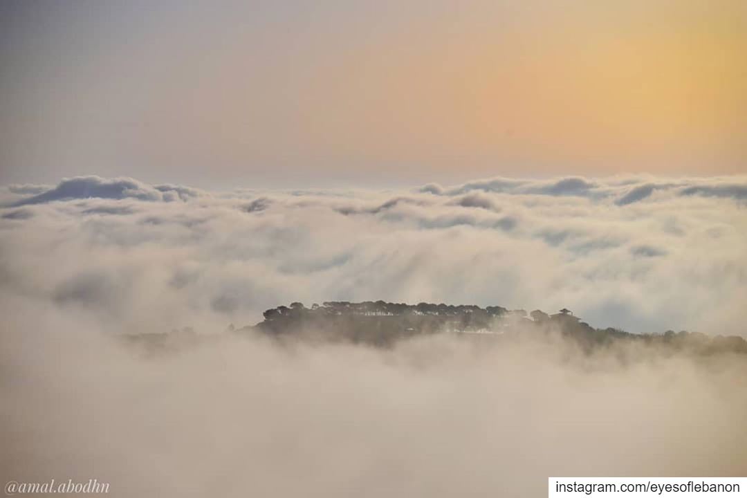 Niha above the clouds 😍Credits to @amal.abodhn ・・・‏ naturephotography... (نيحا)