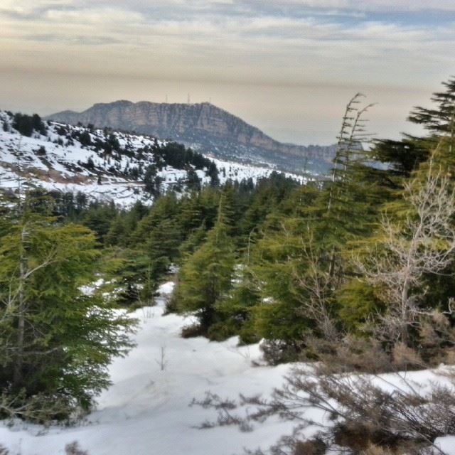  niha  batroun  lebanon  cedars  livelovelebanon snowshoeing  mountainview...