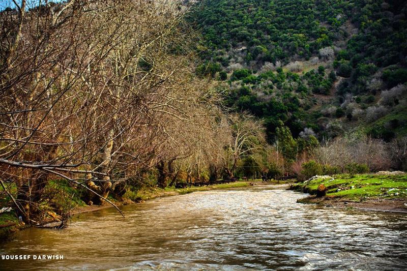  nikonlebanon  nikon  d7100  nikond7100  photography  naturephotography ... (Laytane River)