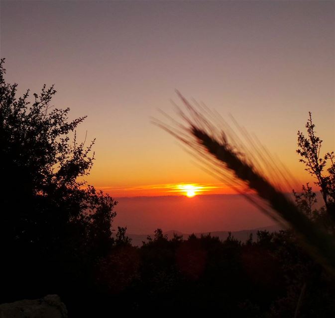  nikontop_  nikonworld  bns_sky  bns_sunset  naturelovers  unlimitedsunset... (Jabal Al Salib - Deir El Kamar)
