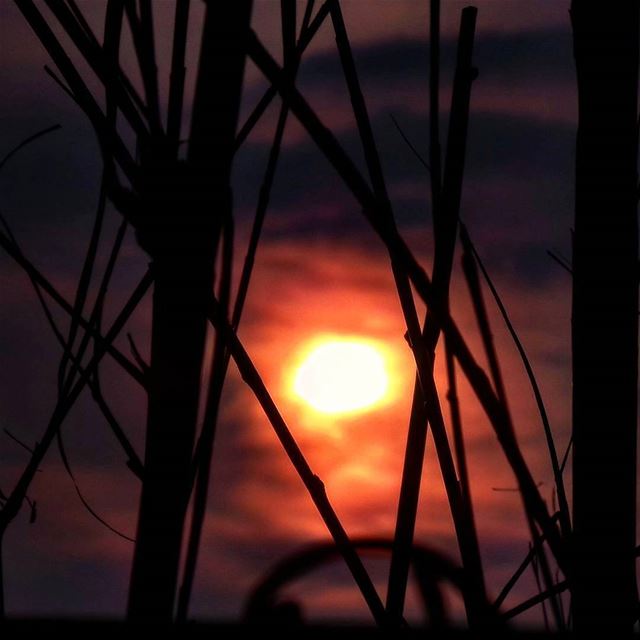  nikontop_  nikonworld  bns_sky  bns_sunset  naturelovers  unlimitedsunset... (Hâlâte, Mont-Liban, Lebanon)