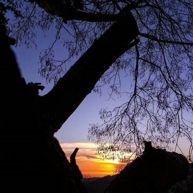  nikontop_  nikonworld  bns_sky  bns_sunset  naturelovers  unlimitedsunset... (Beit Ed-Deen, Mont-Liban, Lebanon)