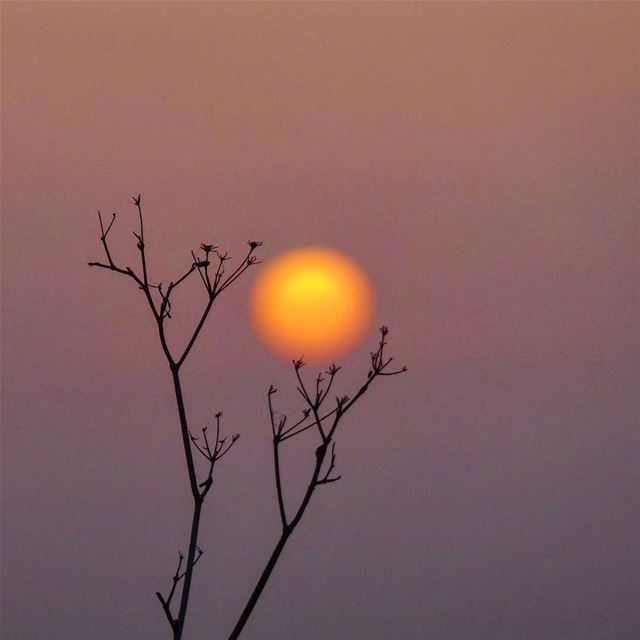  nikontop_  nikonworld  bns_sky  bns_sunset  naturelovers  unlimitedsunset... (Baakline, Mont-Liban, Lebanon)