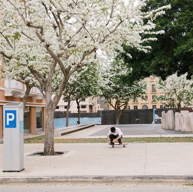 Ninja skater 🌸🌸🌸  beirut  lebanon  spring  skate  skater  skateboard ... (Downtown Beirut)