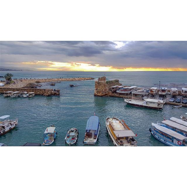 "No act of kindness, no matter how small, is ever wasted.."..... ... (Jbeil-Byblos)