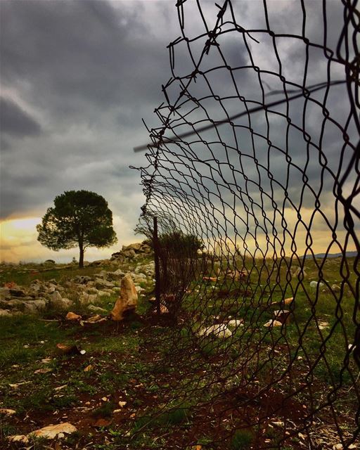 No borders, just horizons....... southlebanon  borders  antiisrael ... (Maroon Al Rass South Lebanon)