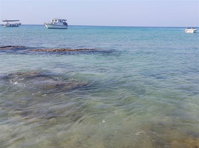 No filter needed  rabbitsisland  tripoli  sea  summer  naturelovers ...