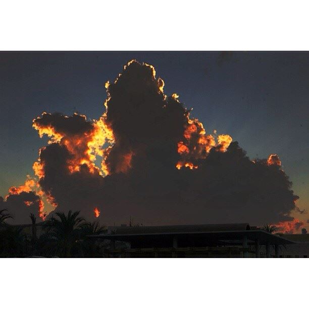 No filters, no shrooms, just pure mediterranean winter sky.  noshrooms ...