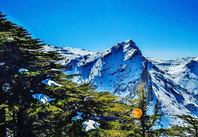  no it's  not in  switzerland .It's in  lebanon  tannourine  cedar ...