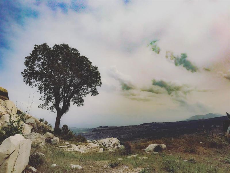 No matter how tight reality seems, there's always enough space for a dream... (Hardîne, Liban-Nord, Lebanon)