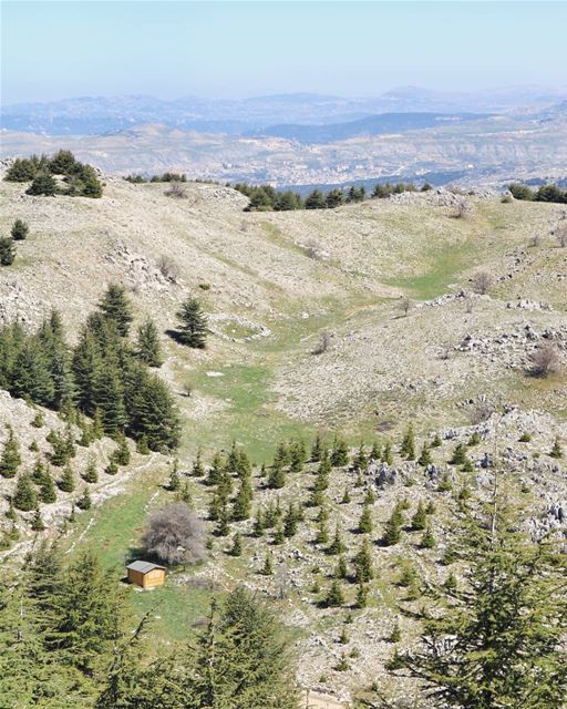 No neighbors, no problem!.....  beautifuldestinations  places_wow ... (Bâroûk, Mont-Liban, Lebanon)