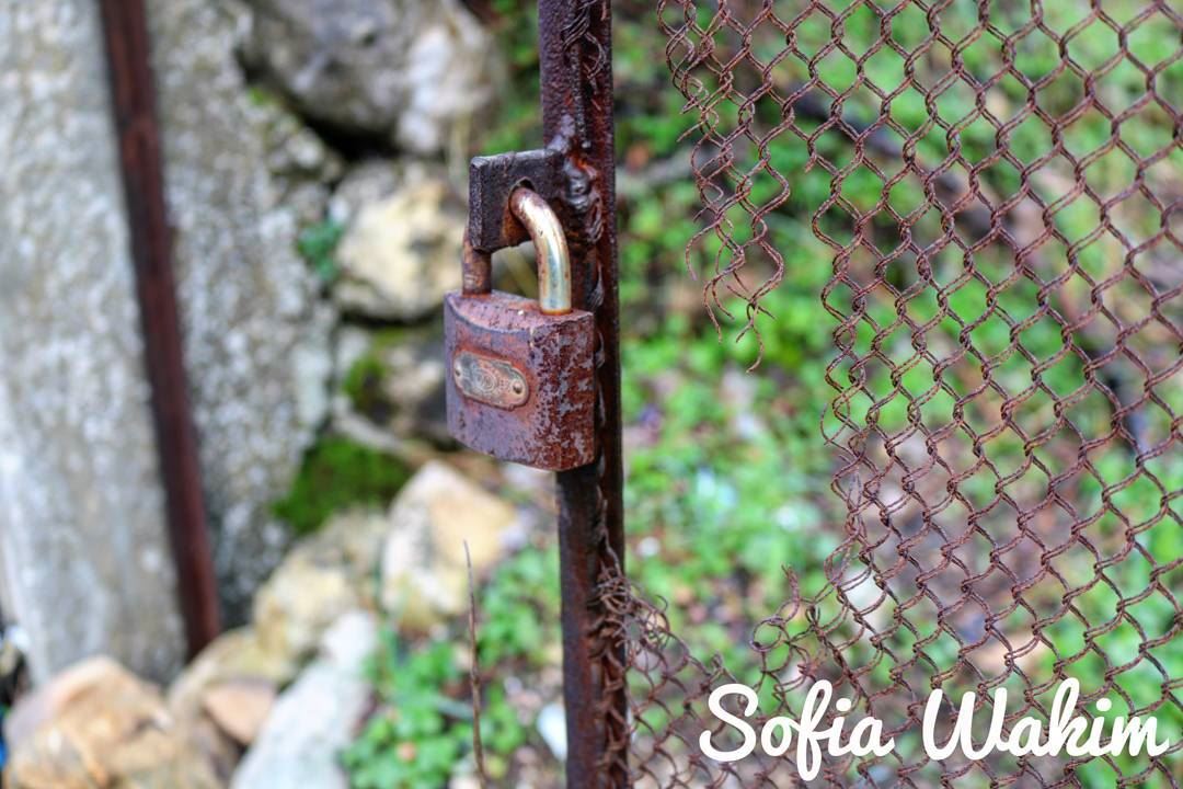 No one makes a lock without a key. livelovebatroun  nature ... (Douma, Liban-Nord, Lebanon)