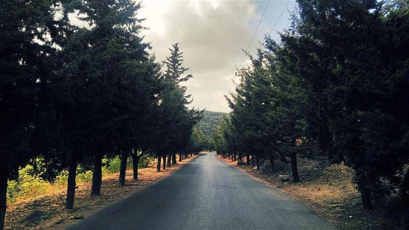 No one said the journey was easy!! But make it worthwhile ✨✨. Have a... (Al Shouf Cedar Nature Reserve)