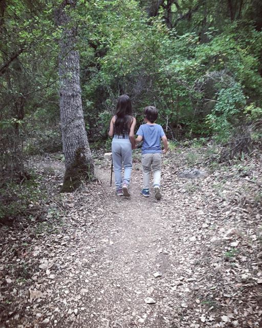 No pebbles, no bread crumbs. We like it here🌳🌲.... thediscoverer ... (Ehden, Lebanon)