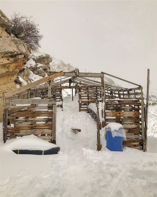 No place like .... home?..... natgeoshot  natgeotravelpic ...