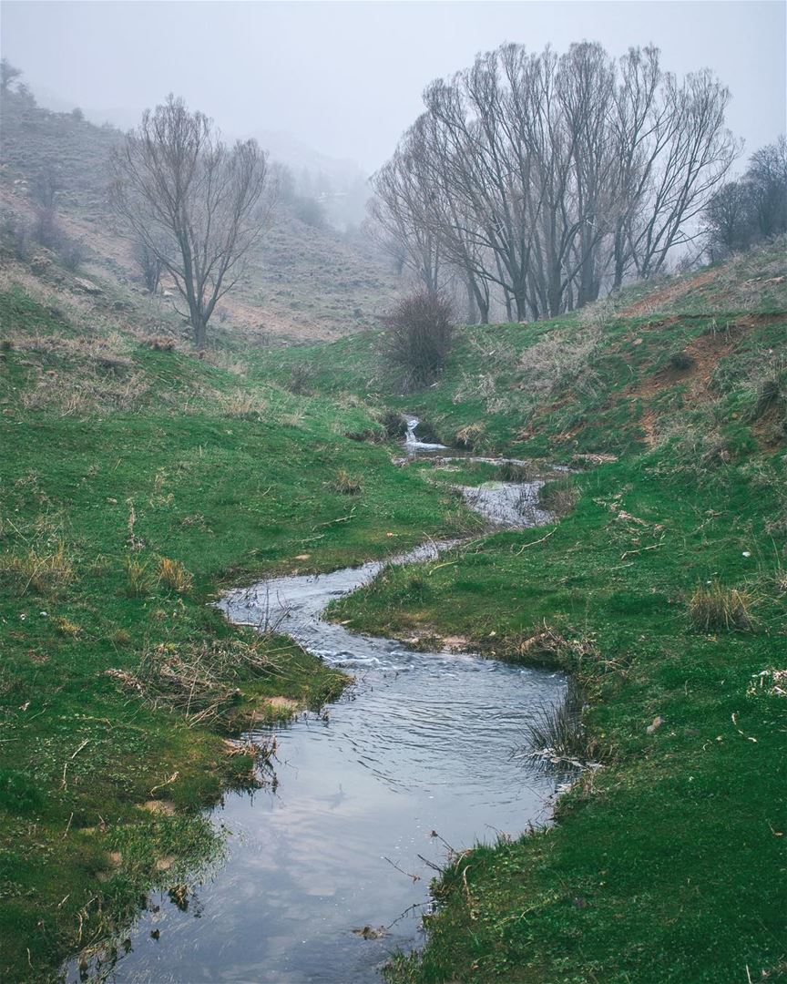 'no river can return to its source; yet all rivers must have a... (El Laklouk, Mont-Liban, Lebanon)
