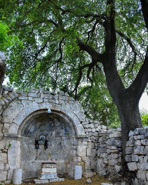 No Roof, No Decorations, No Ornament.. Only a great heartwarming Peace... (Smar Jubayl, Liban-Nord, Lebanon)