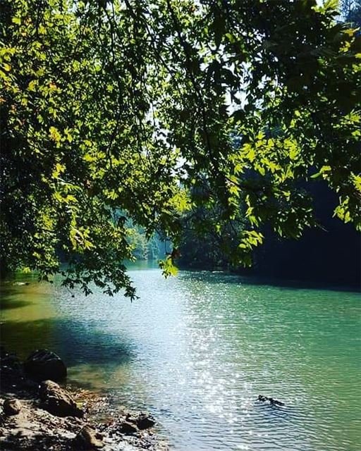 No Sunday plans yet?Head to  JabalMoussa. chouwan|| unescomab  unesco... (Jabal Moussa Biosphere Reserve)