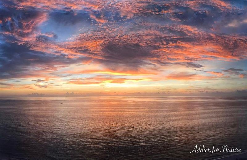 No words can describe the glorious beauty of mother nature! --------------- (Clearwater Beach)