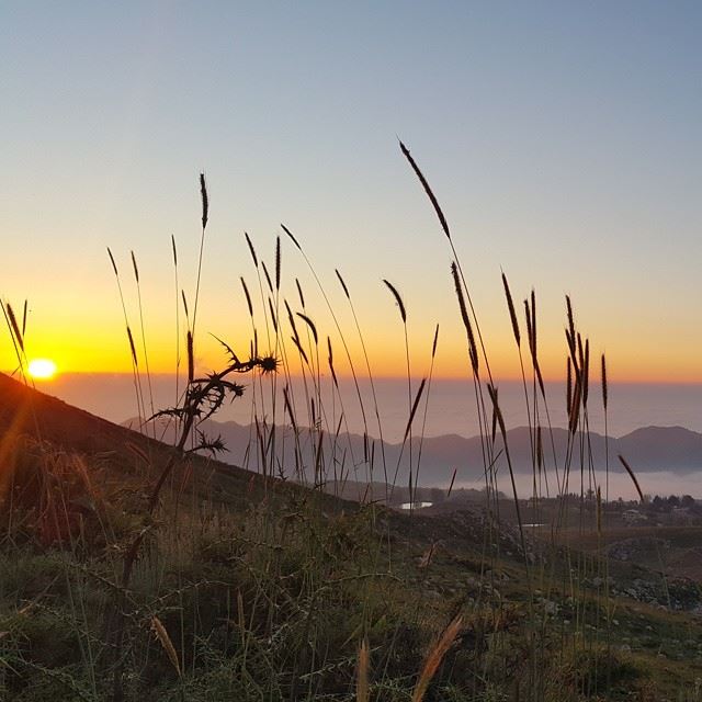  nofilter  lebanon  sunset  2015  mountains  amazing  livelovelebanon ...