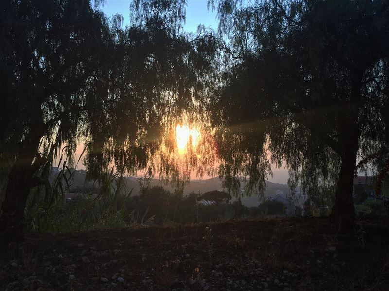  nofilter  livelovelebanon  lebanon  lebnani  ainsaade  mountains  jabal ... (Ain Saadeh)