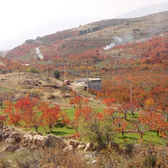 nofilter nofilters beautifulautumnnature autumncolors redleaves automnestyle (Twayti)