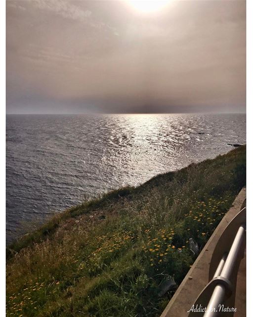  nofilter  seaview  sky  sun  grass  hill  flowers  yellowflowers🌼 ... (Beirut, Lebanon)