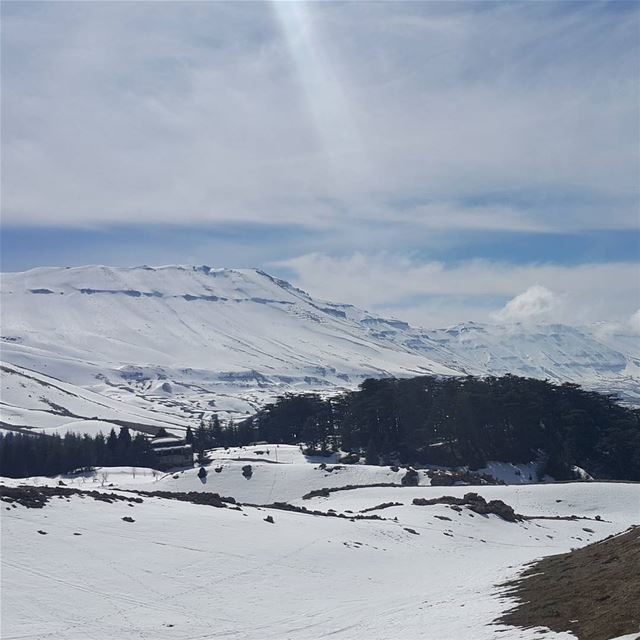  nofilterneeded  cedarsofgod  naturelovers  bcharre  northlebanon ...