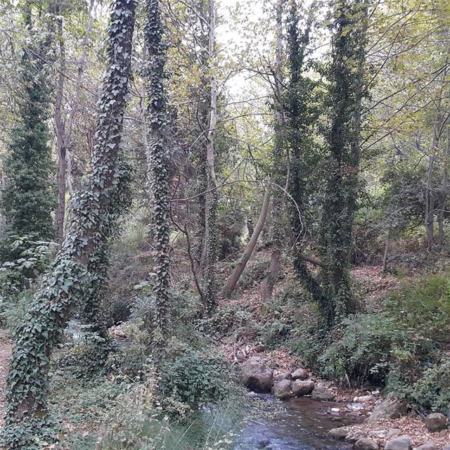  nofilterneeded  hikingtrails  trekking  qannoubine  Lebanon ...