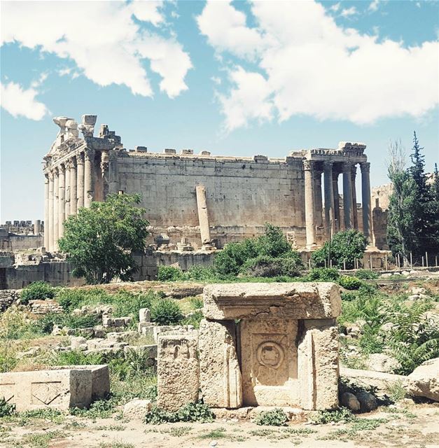 "Non Desistas Non Exieris" Ancient Roman NEVER GIVE UP , NEVER SURRENDER... (Temple of Bacchus)
