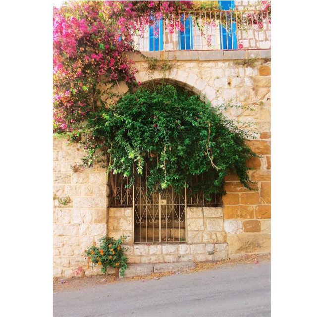 Nonpareil 🌺 HiddenTreasures  WorldToXplore HuntgramLebanon ... (Ghosta, Mont-Liban, Lebanon)