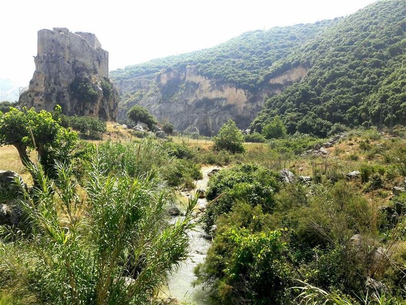  north  lebanon  lebanoninapicture  lebanonspotlights  msaylha  castle ... (Msaylha Castle)