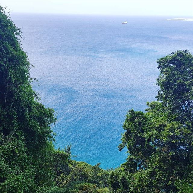  northlebanon  hamat  sea  lebanon ...