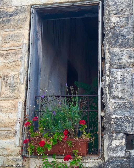  nostalgia  old  oldhouse  window  heritage  flowers  abandoned  dibiyee...