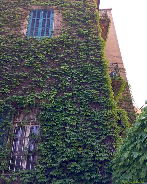  nostalgia  oldbuilding  green window  achrafieh  beirut ...