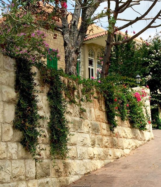  nostalgia  oldhouse  heritage  architecture  lebanonhouses  flowers ...