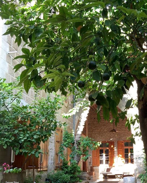  nostalgia  oldhouse  heritage  lebanonhouses  tyr  lebanon ...
